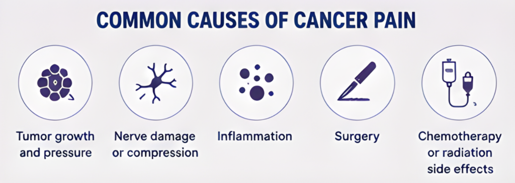 Cancer Pain Management