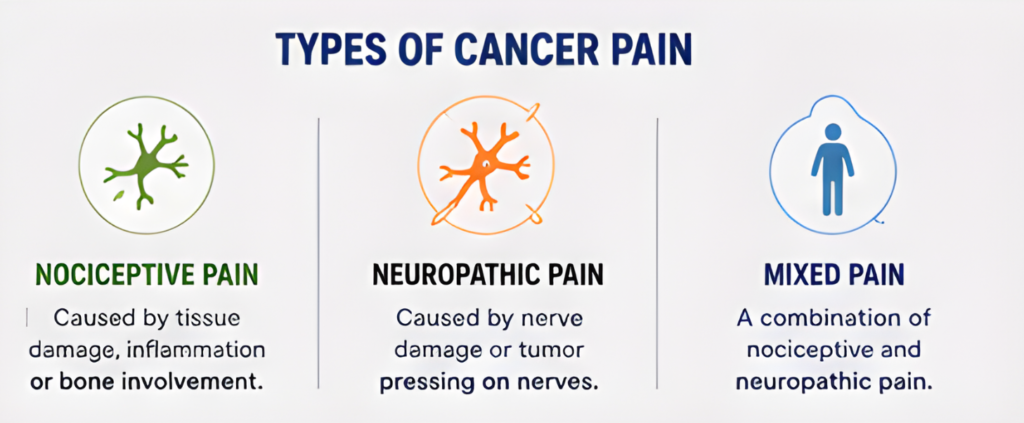 Cancer Pain Management